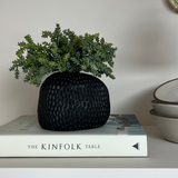 Mini Plant in a Dimpled Black Vase RTfact Flowers 