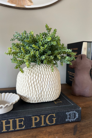 Mini Plant in a Dimpled Cream Vase