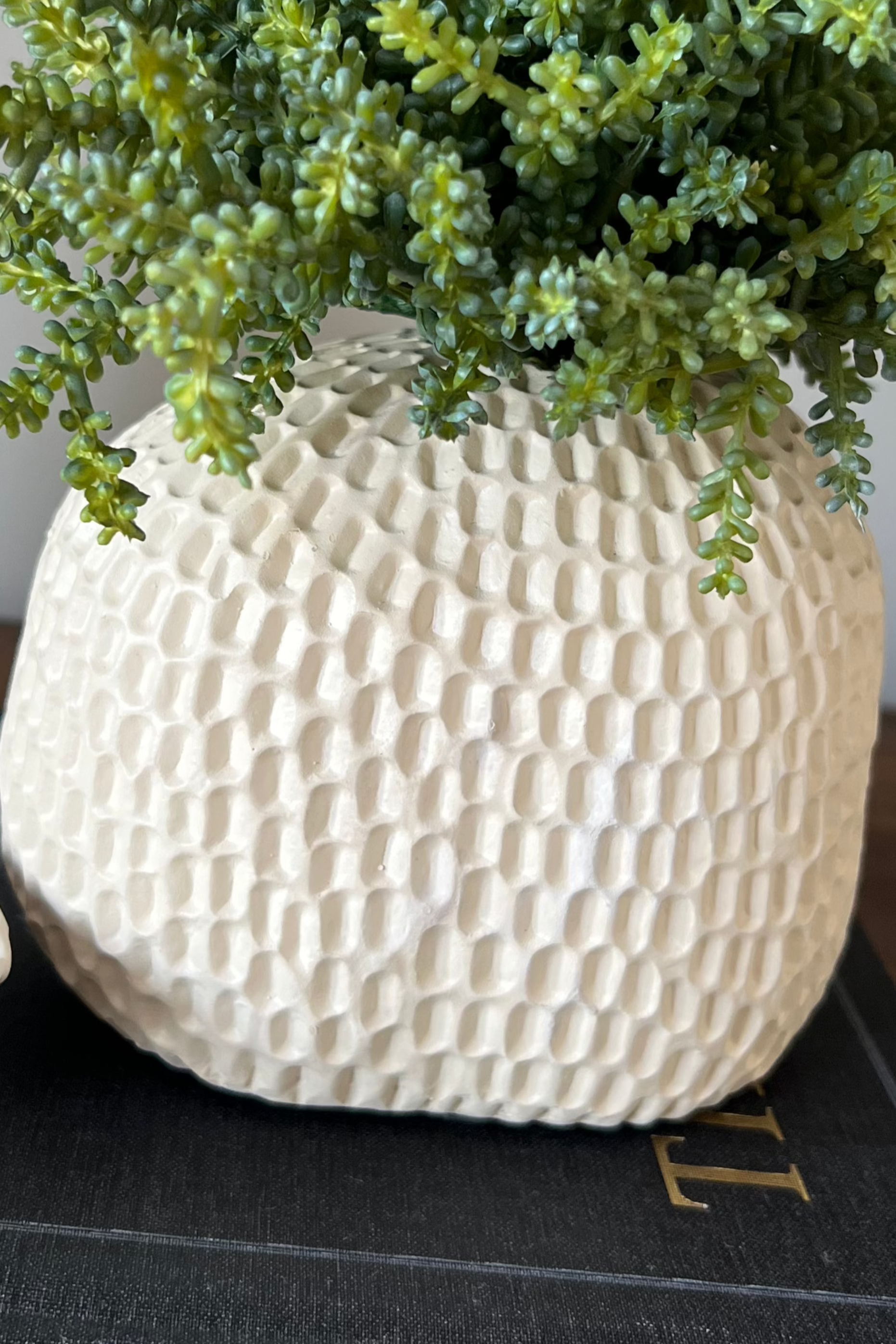Mini Plant in a Dimpled Cream Vase RTfact Flowers 