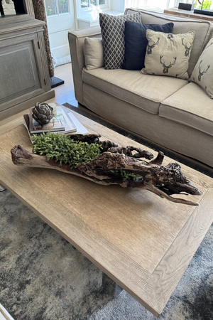 Driftwood with Mini Plant - Medium