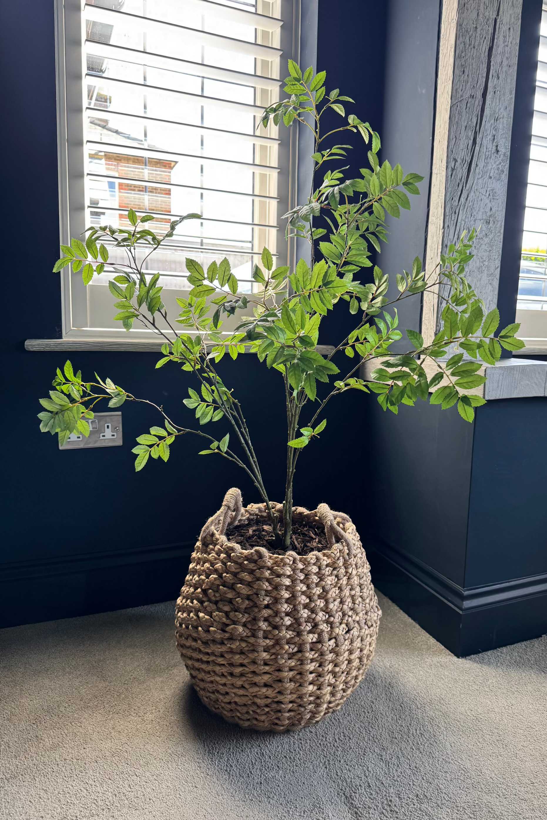 Leaf Spray Bush in a Soft Woven Basket RTfact Flowers 