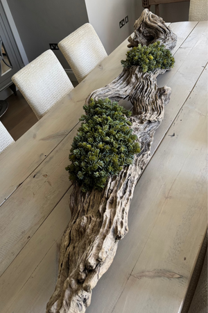 Driftwood with Mini Spiky Succulents Large