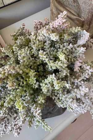 Mini Plant in a Metal Ridged Vase