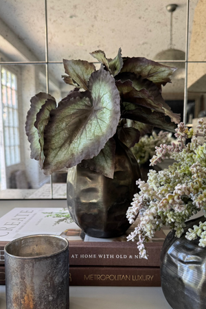 Begonia Bush and Mini Plant in a Metal Ridged Vase RTfact Flowers 