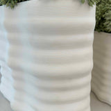 Angelica in a 'Half Moon' Vase