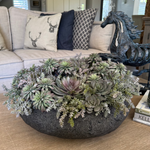 Mixed Succulents in a Black Sandstone Effect Bowl RTfact Flowers 