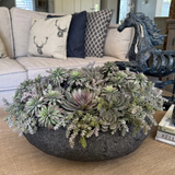 Mixed Succulents in a Black Sandstone Effect Bowl RTfact Flowers 