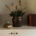 Red Hot Poker in a Bronze Pot RTfact Flowers 
