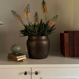Red Hot Poker in a Bronze Pot RTfact Flowers 