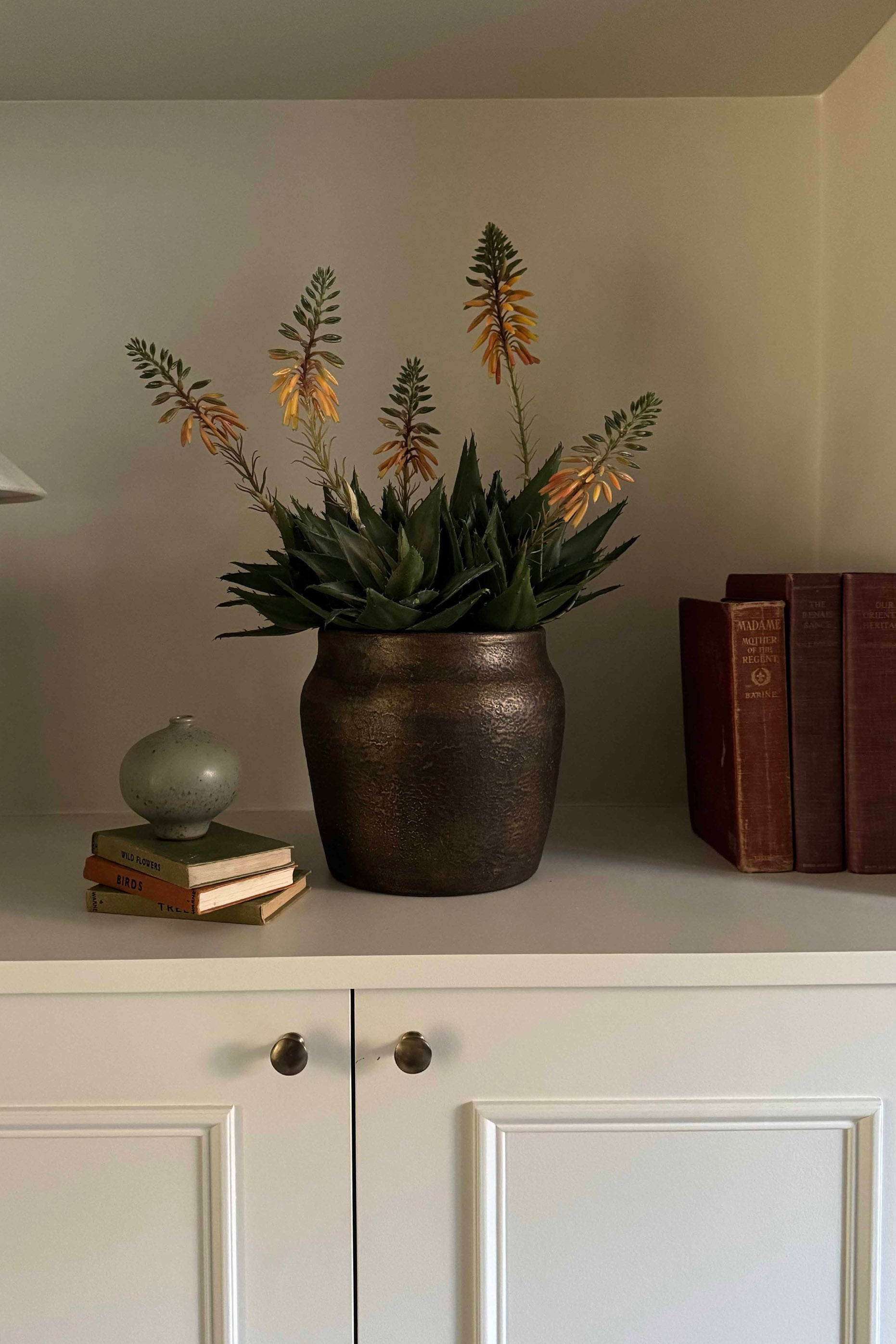 Red Hot Poker in a Bronze Pot RTfact Flowers 
