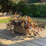 Ivy in a Rectangular Basket RTfact Flowers 
