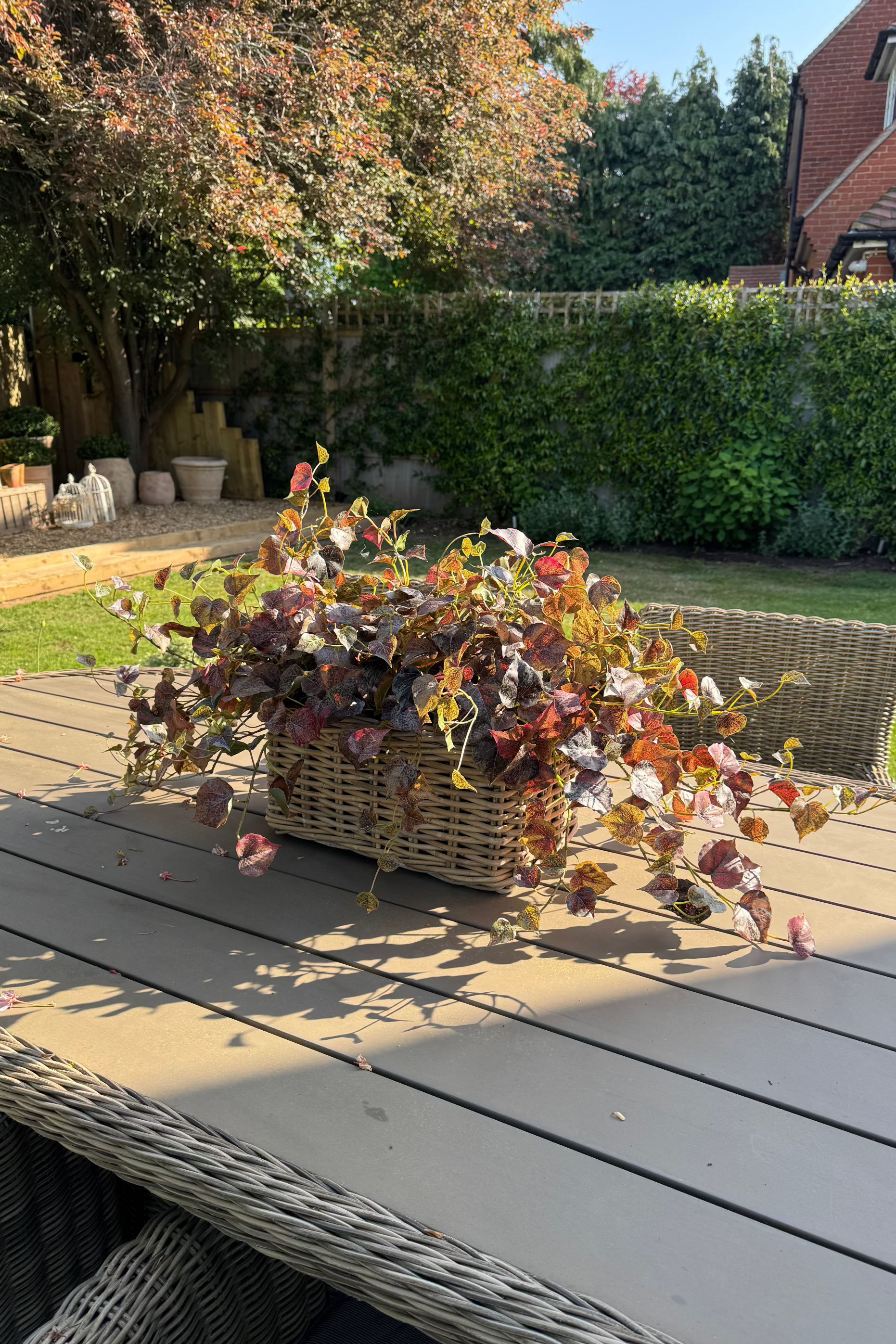 Ivy in a Rectangular Basket RTfact Flowers 