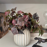 Ivy Spray in a Glazed Cream Vase RTfact Flowers 