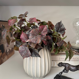 Ivy Spray in a Glazed Cream Vase RTfact Flowers 