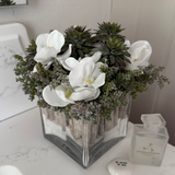 Orchids, Echeveria and Mini Plant in a Driftwood Glass Cube RTfact Flowers 