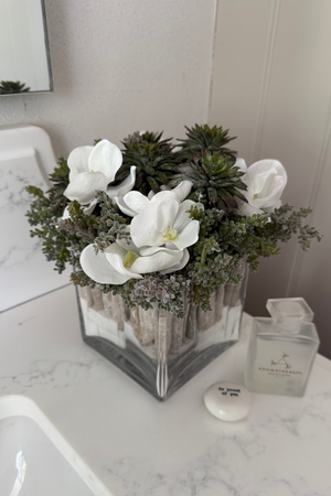 Orchids, Echeveria and Mini Plant in a Driftwood Glass Cube