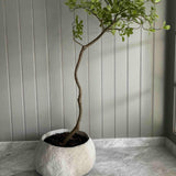 Asymmetrical Dodan Tree (120cm) RTfact Flowers 