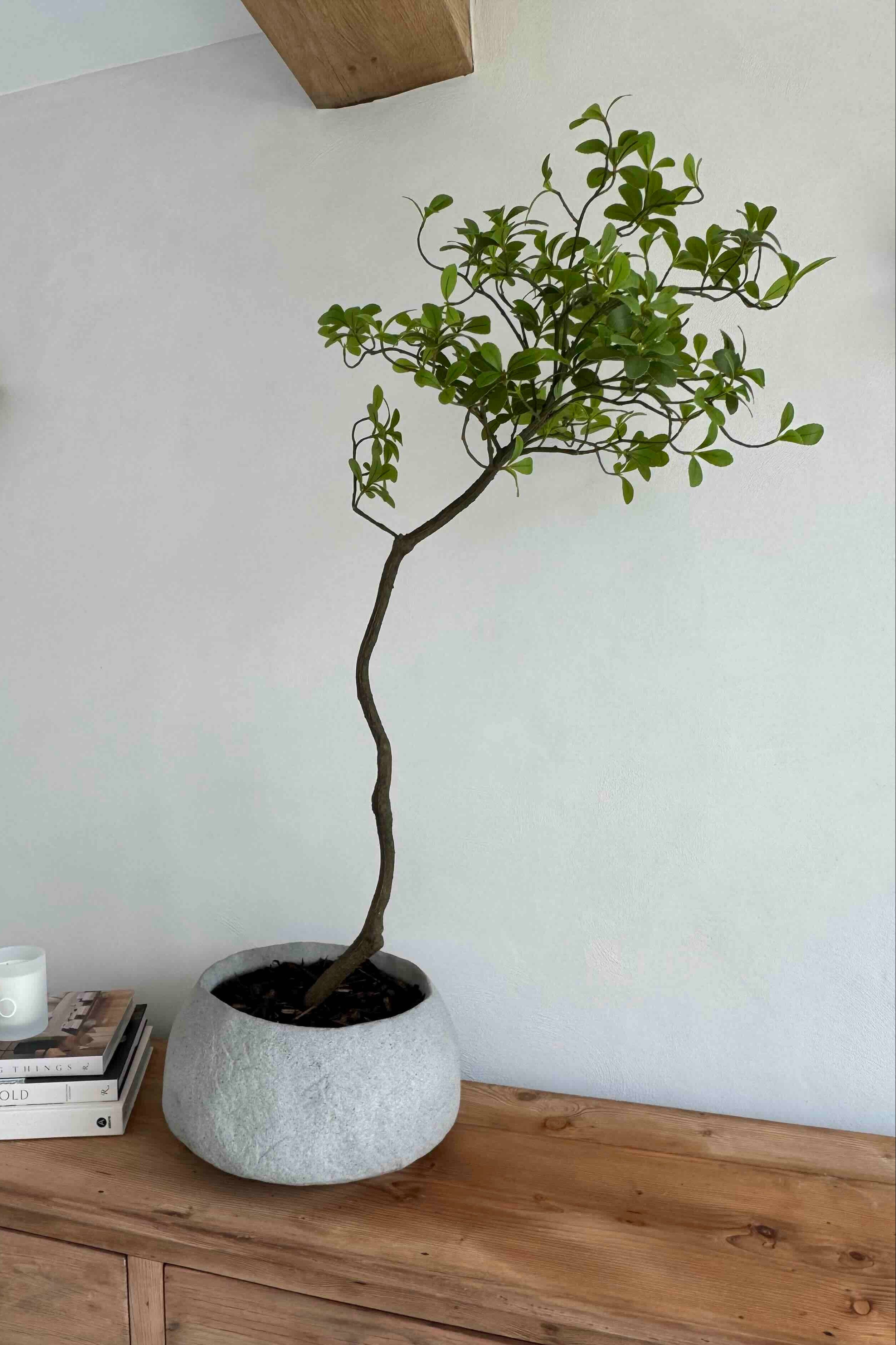 Asymmetrical Dodan Tree (120cm) RTfact Flowers 