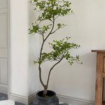Asymmetrical Dodan Tree (150cm) RTfact Flowers 