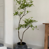 Asymmetrical Dodan Tree (150cm) RTfact Flowers 
