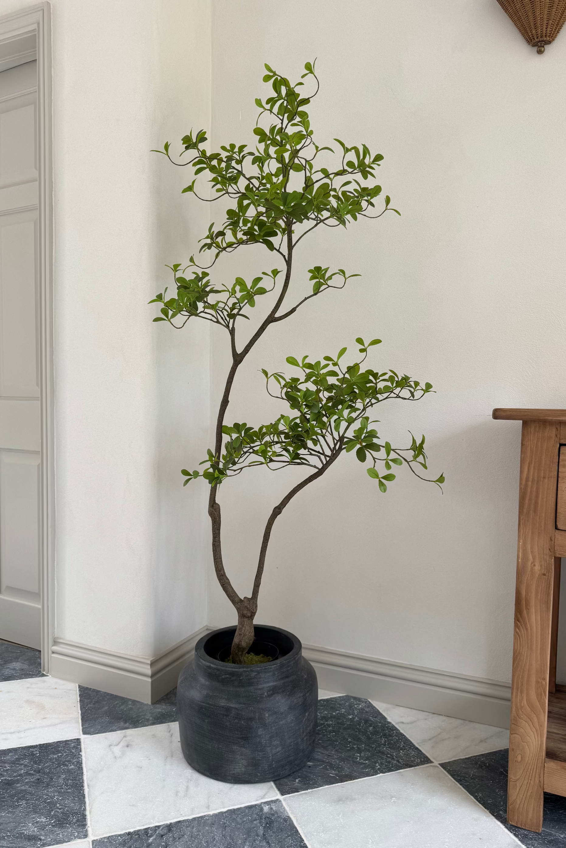 Asymmetrical Dodan Tree (150cm) RTfact Flowers 