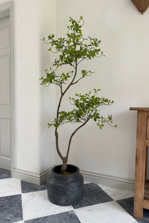 Asymmetrical Dodan Tree (150cm) RTfact Flowers 