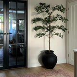 Shady Lady Tree