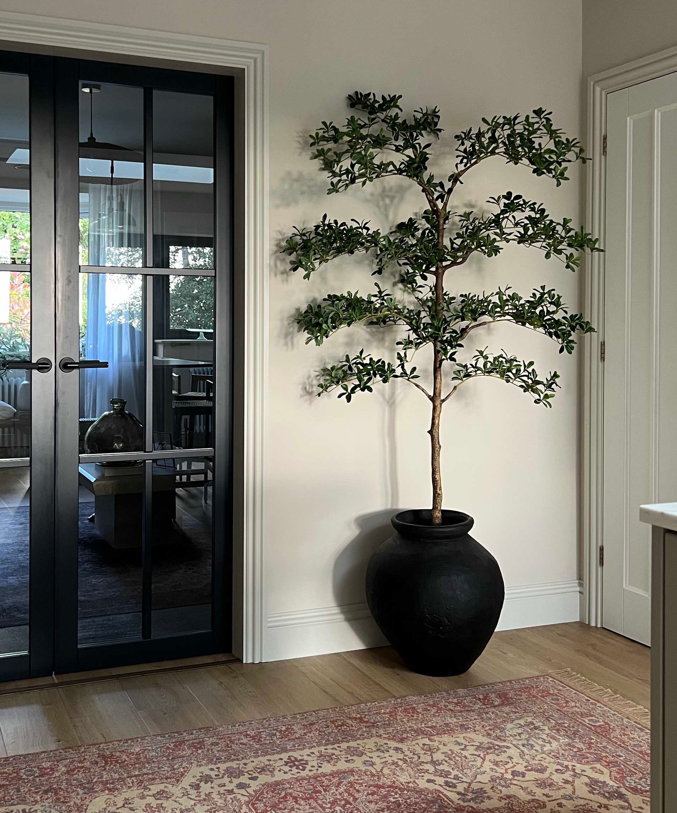 Shady Lady Tree