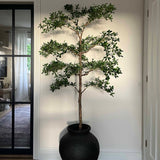 Potted plant in a black pot against a white wall. Faux Shady Lady Tree Rtfact
