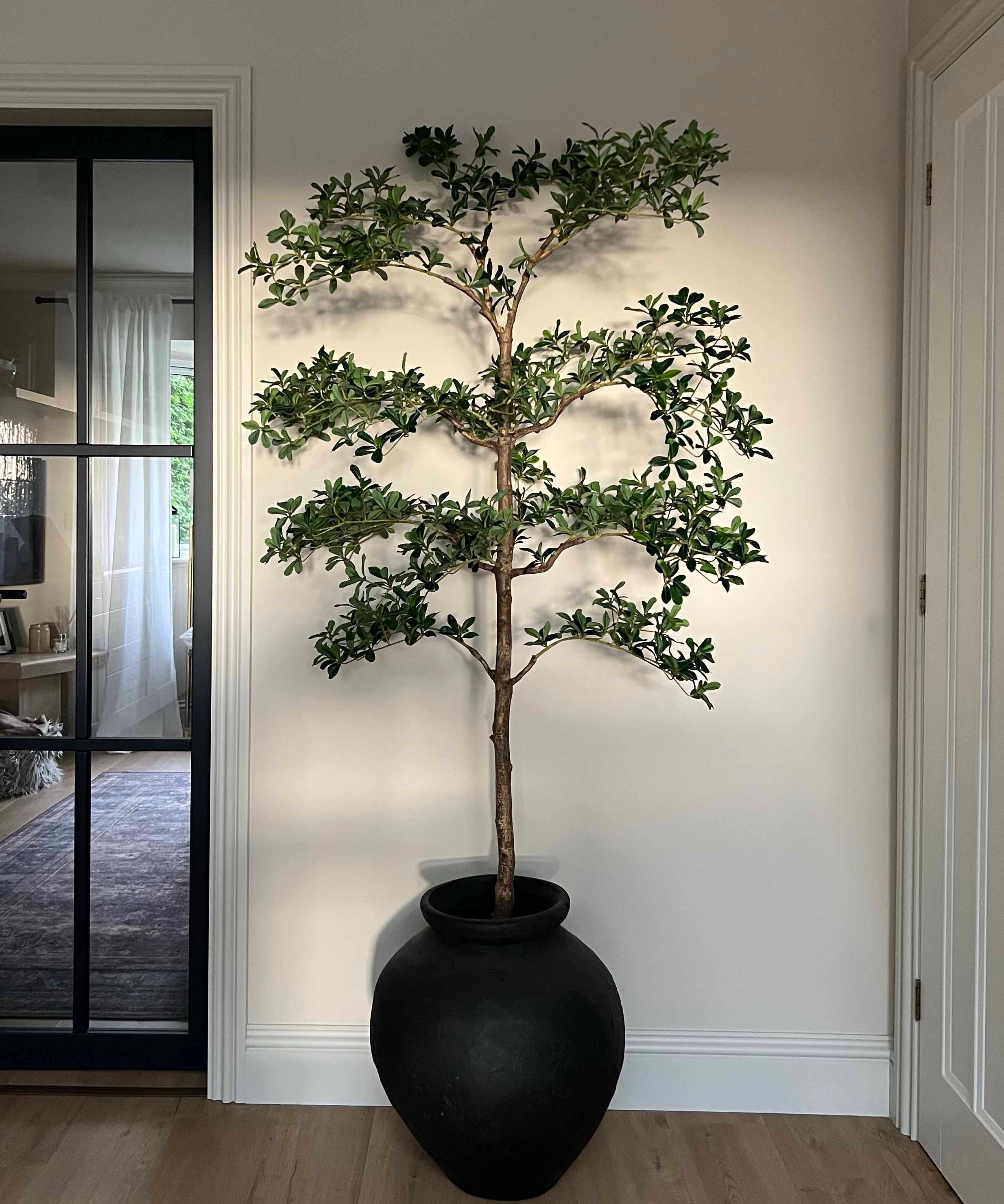 Potted plant in a black pot against a white wall. Faux Shady Lady Tree Rtfact