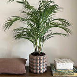 Faux Areca Palm. Potted plant on a wooden table with a neutral background. Rtfact