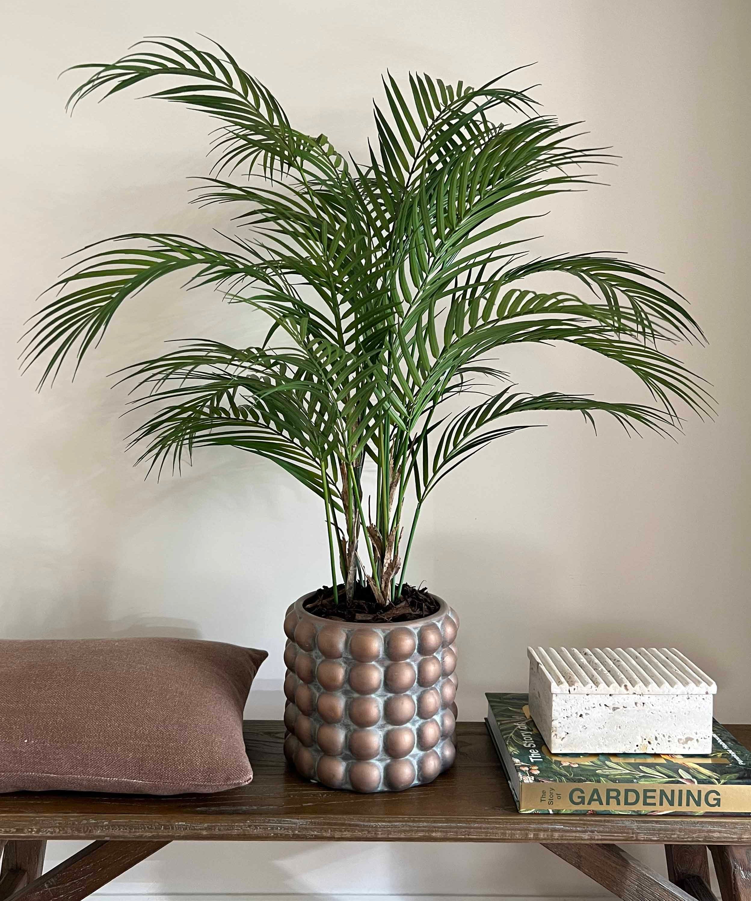 Faux Areca Palm. Potted plant on a wooden table with a neutral background. Rtfact