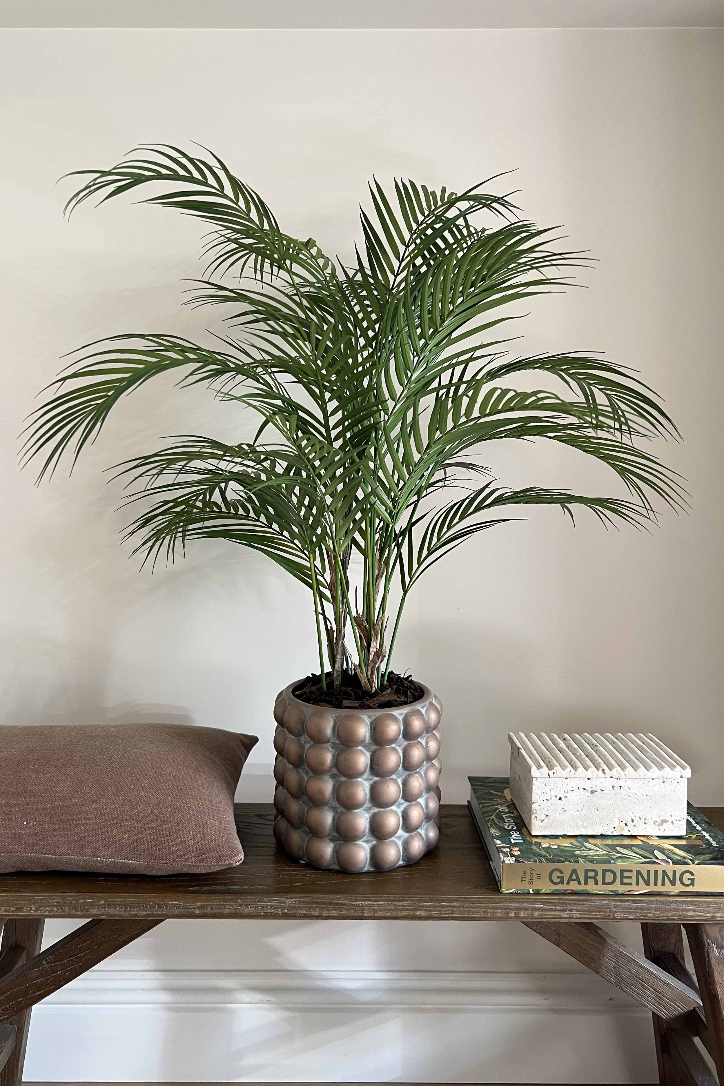 Faux Areca Palm. Potted plant on a wooden table with a neutral background. Rtfact
