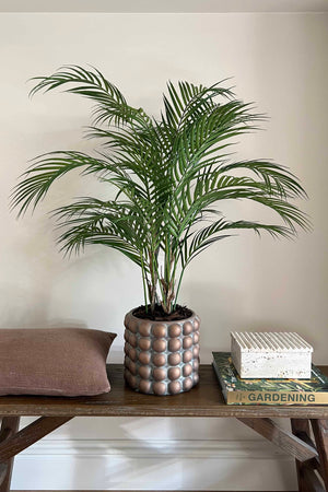 Faux Areca Palm. Potted plant on a wooden table with a neutral background. Rtfact