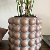 Areca Palm in a Distressed Bobble Planter