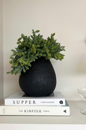 Mini Plant in a Textured Black Vase