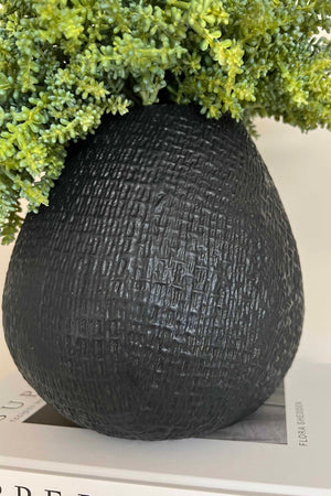 Mini Plant in a Textured Black Vase