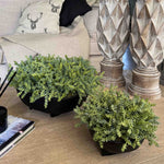 Two potted artificial plants on a wooden surface with decorative columns in the background. Rtfact Flowers