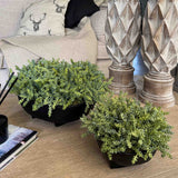 Two potted artificial plants on a wooden surface with decorative columns in the background. Rtfact Flowers
