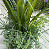 Grasses and Greenery in a Grey Concrete Planter