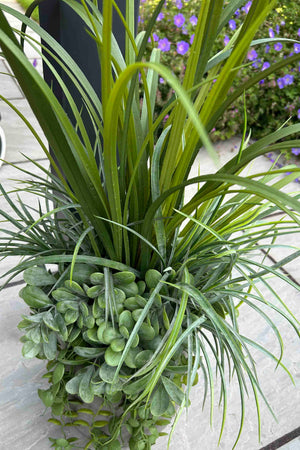 Grasses and Greenery in a Grey Concrete Planter