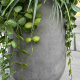 Grasses and Greenery in a Grey Concrete Planter
