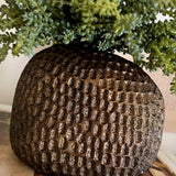 Mini Plant in a Bronze Dimpled Vase