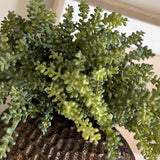 Mini Plant in a Bronze Dimpled Vase