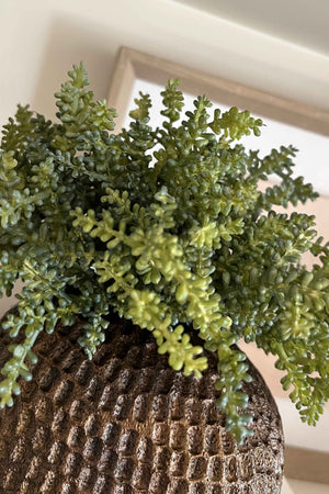Mini Plant in a Bronze Dimpled Vase