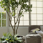 Artificial Bucida Tree - 2.9m - RTfact Flowers