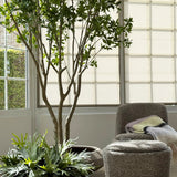 Artificial Bucida Tree - 2.9m - RTfact Flowers