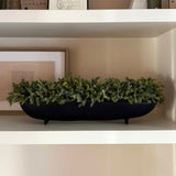 Mini Plant in a Footed Black Boat