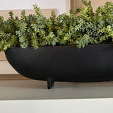 Mini Plant in a Footed Black Boat
