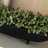Mini Plant in a Footed Black Boat